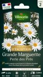 Fleuri - Pelouse Suisse - Paquerettes (x2) + Grande Marguerite Perle des Prés - Graines d'Exception Offerte - MEDIA_EN_SITUATION_1